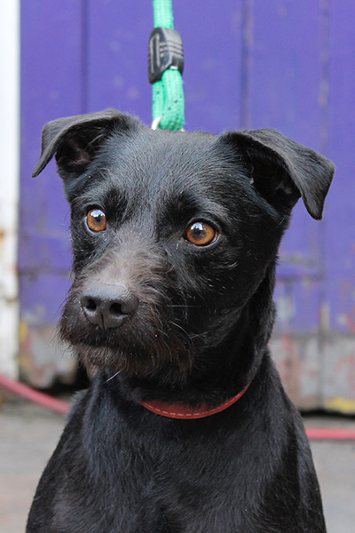 Lilly Reference Photograph