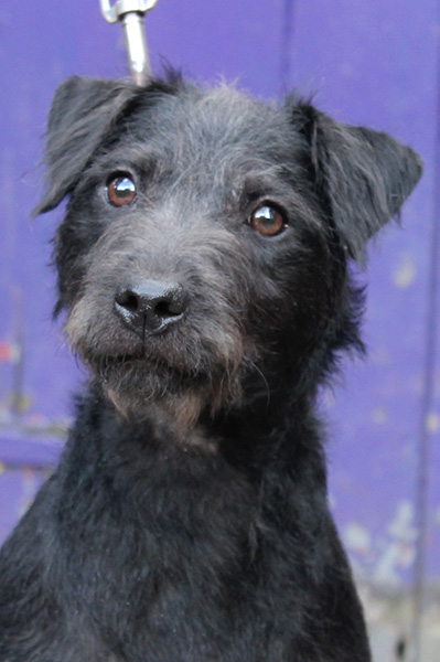 Jodie Reference Photograph