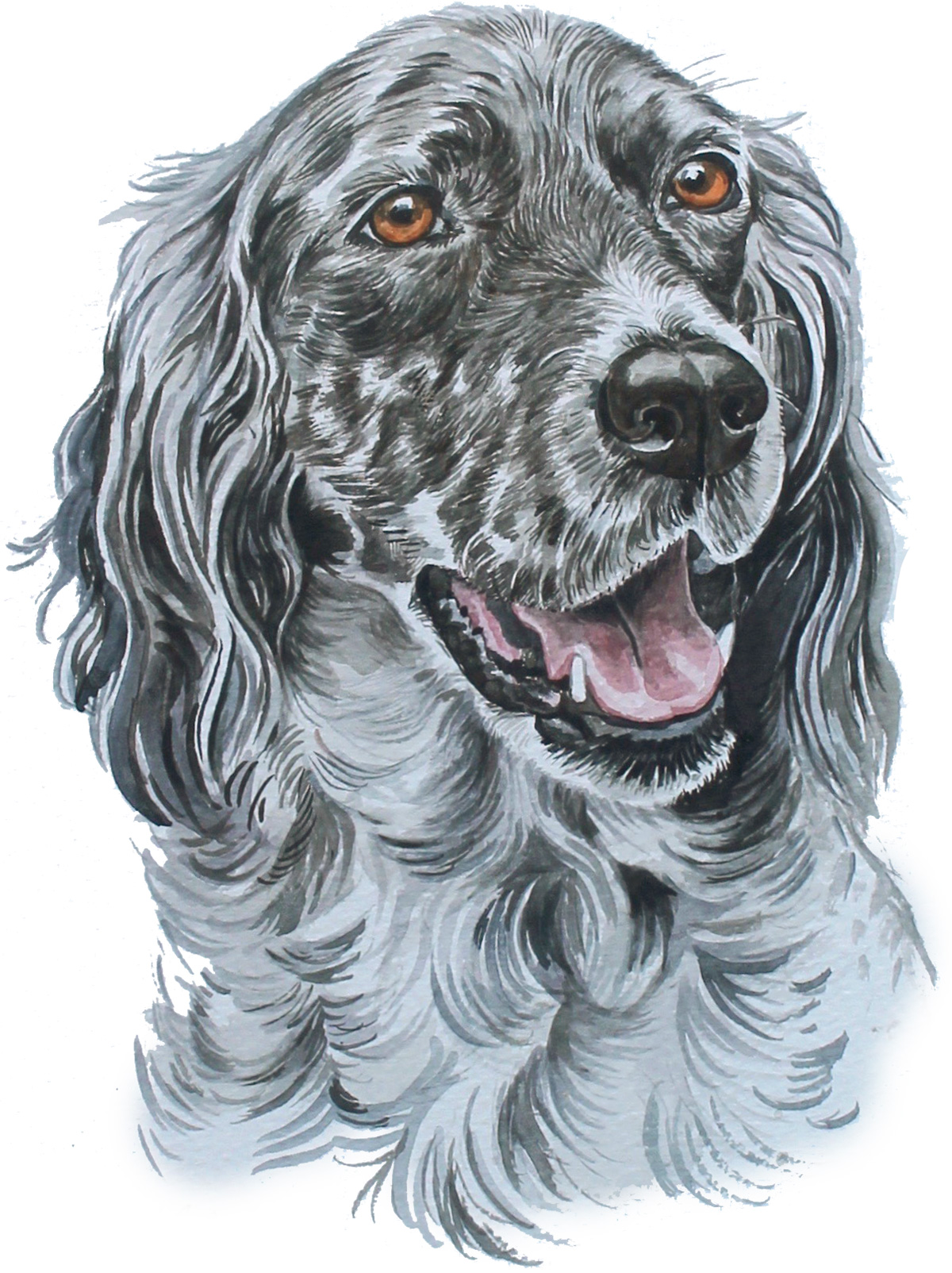 Christine Varley English Setter Portrait