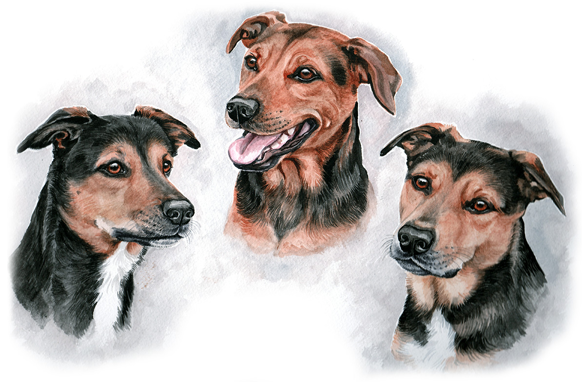 Christine Varley Cross-breed Portrait