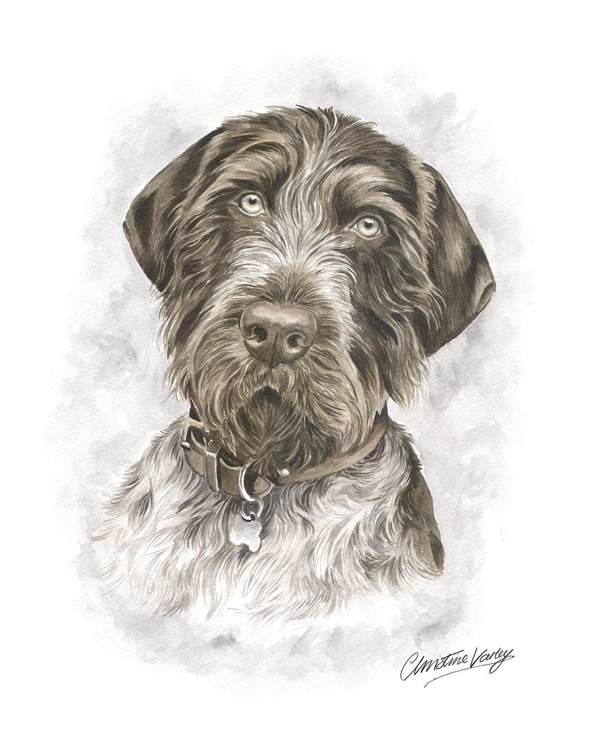 Christine Varley German Wire-haird Poitner Portrait