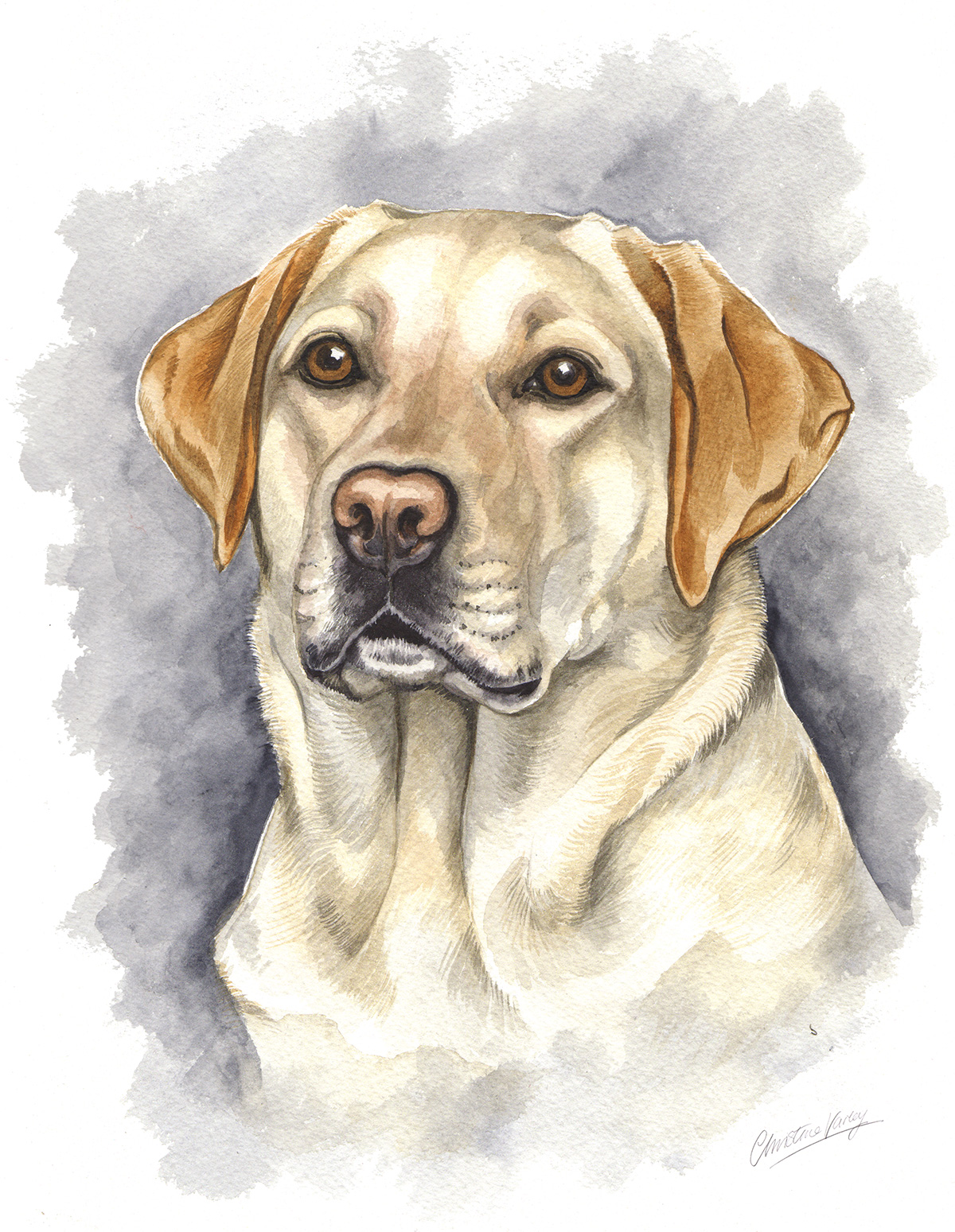 Christine Varley Golden Labrador Portrait