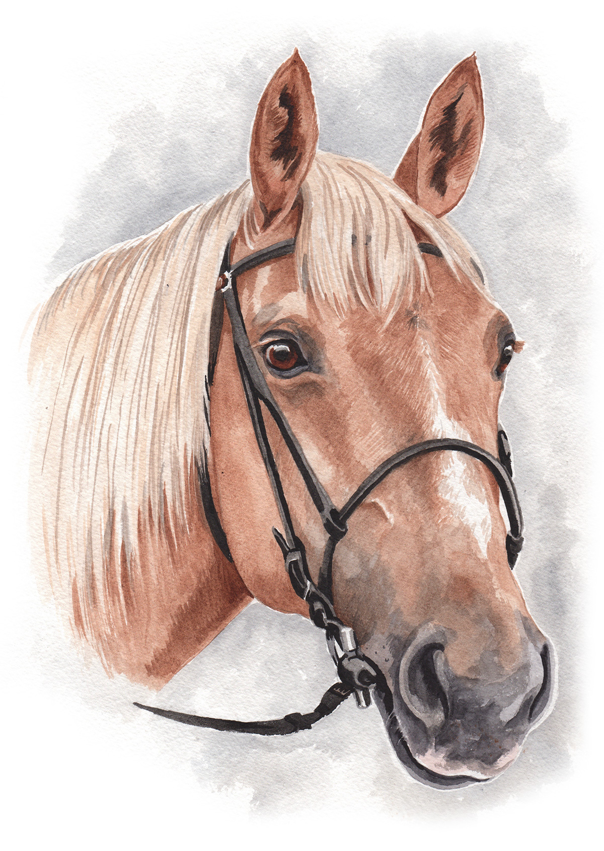 Christine Varley Palomino Horse Portrait