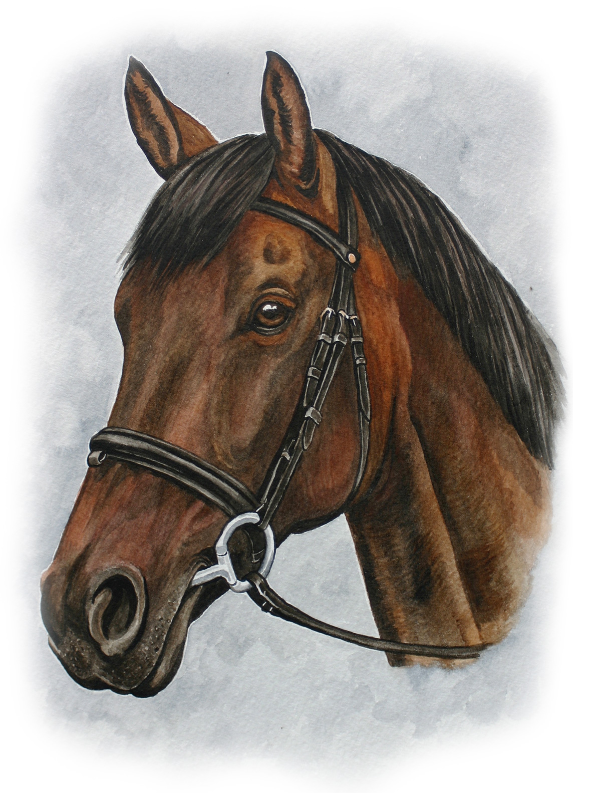 Christine Varley Horse Portrait