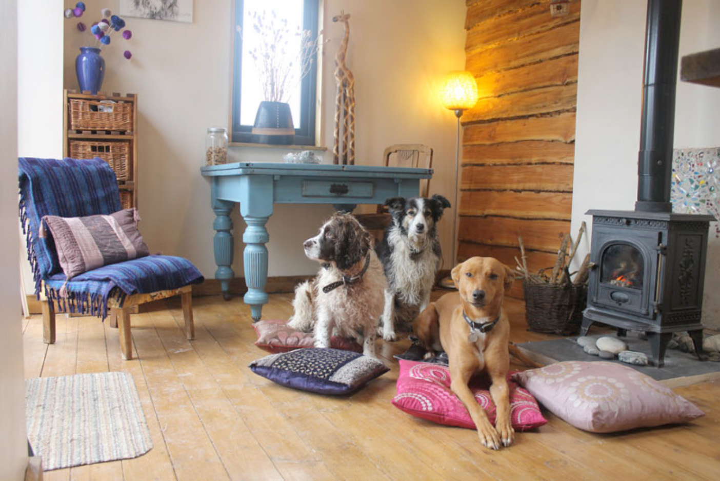 Christine Varley Dogs in the Studio